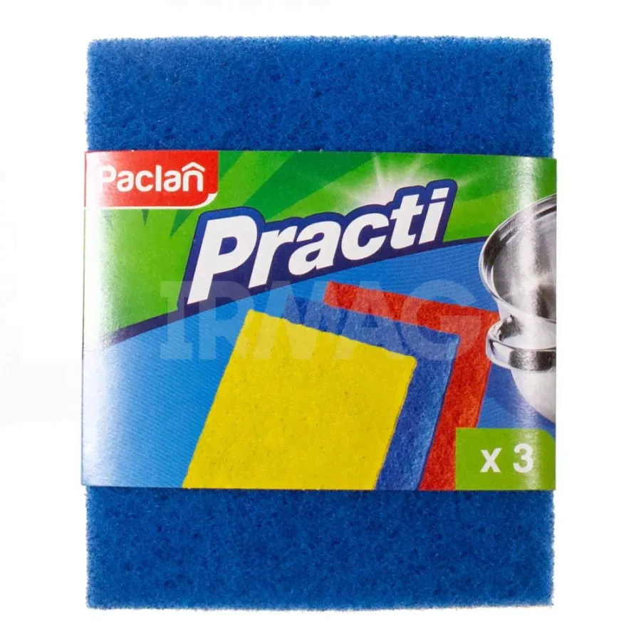 Мочалки для посуды Paclan Practi из игольчатого абразива (3 шт)